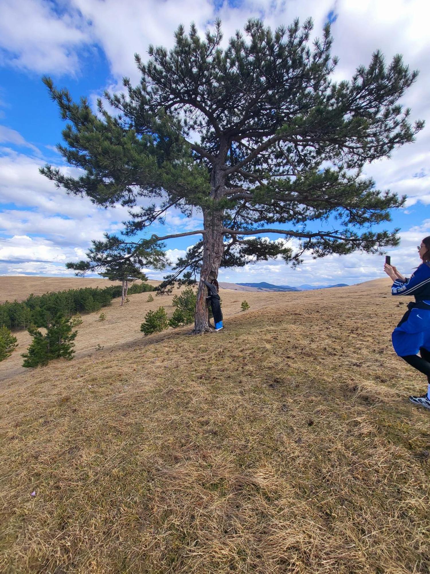 Huut Villa Zlatibor Dış mekan fotoğraf